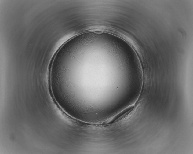 X0000110871050200906181158