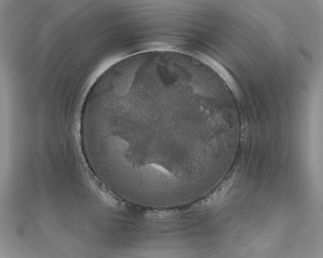 X0000110871051200906181158