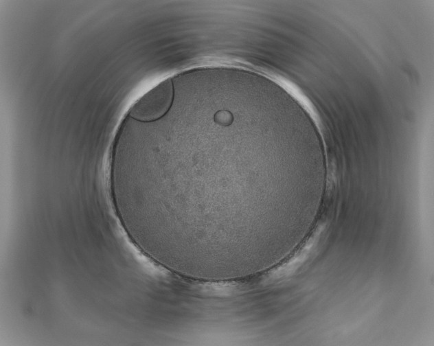 X0000110871053200906181158