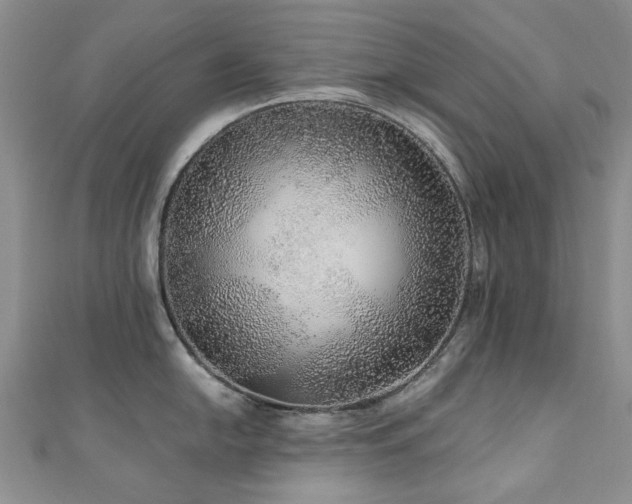 X0000110871054200906181158