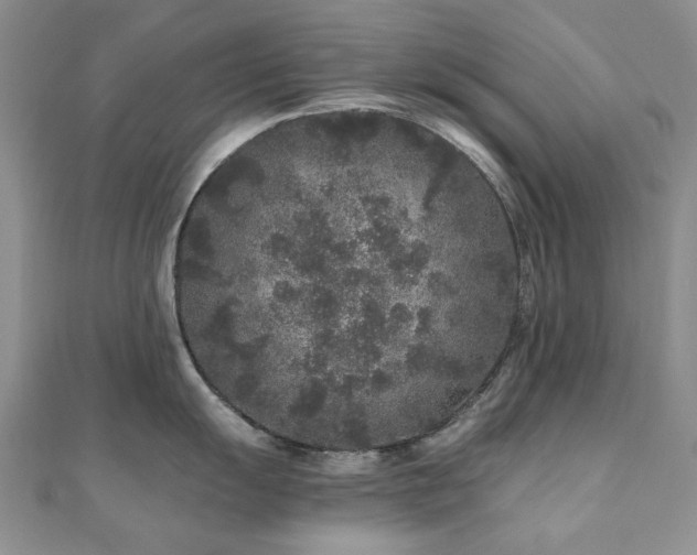 X0000110871055200906181158