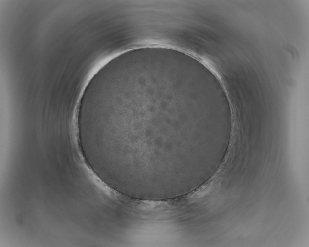 X0000110871056200906181158