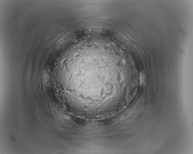 X0000110871059200906181157