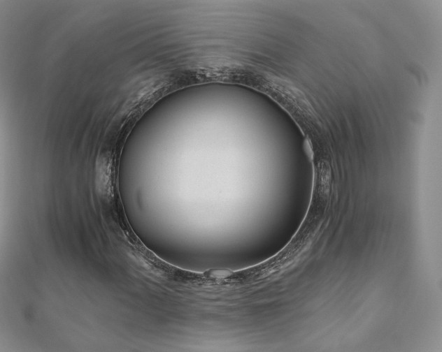 X0000110871060200906181157