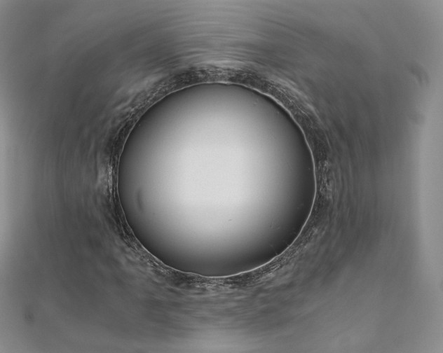 X0000110871061200906181157