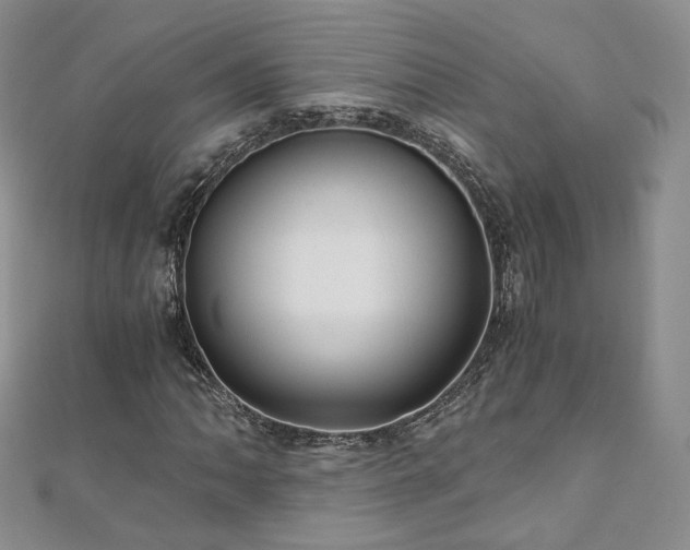 X0000110871062200906181157