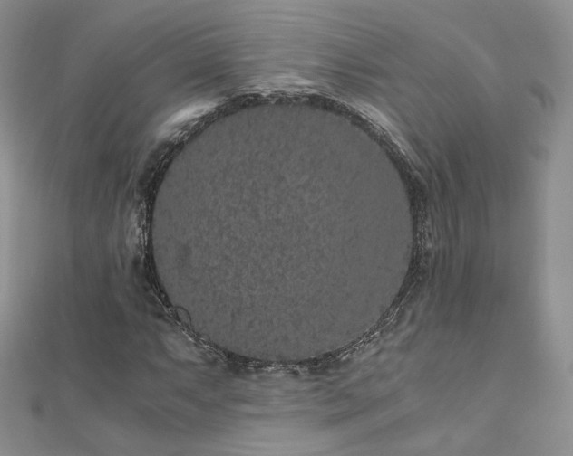 X0000110871063200906181157