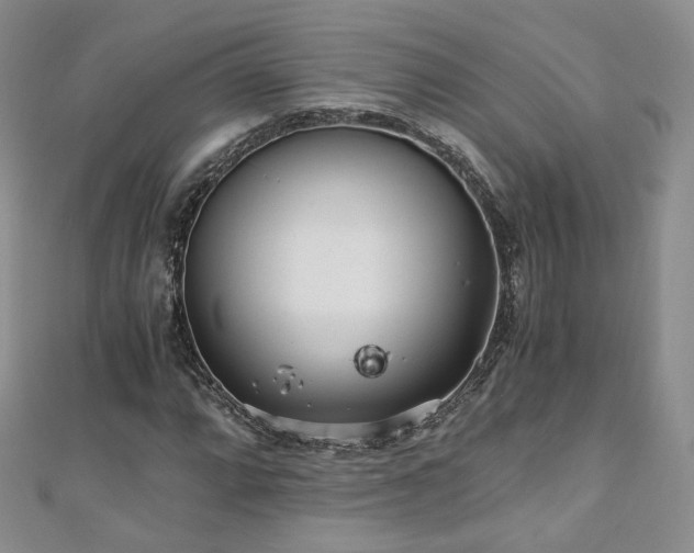 X0000110871064200906181157