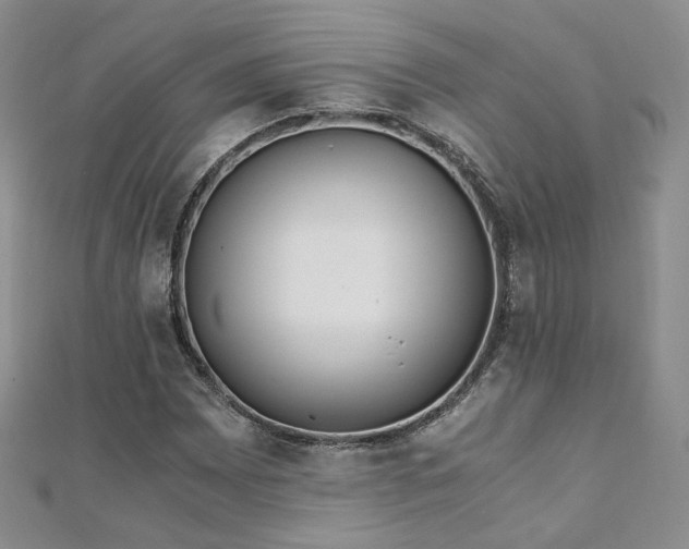 X0000110871065200906181157