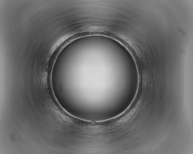 X0000110871066200906181157