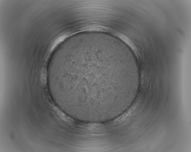 X0000110871067200906181157