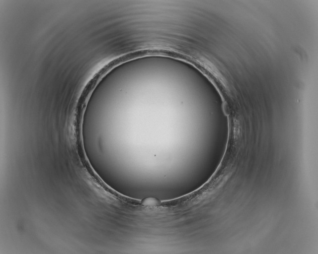 X0000110871068200906181157