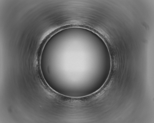 X0000110871070200906181157