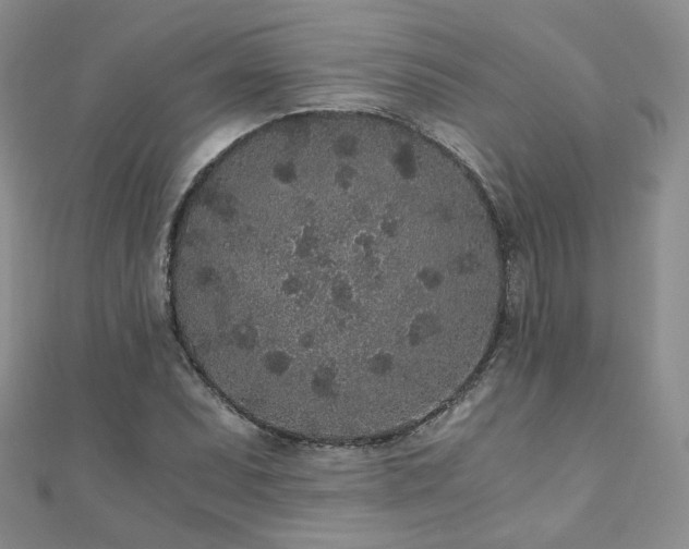 X0000110871071200906181157