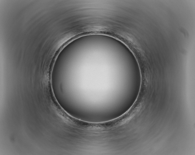 X0000110871073200906181157