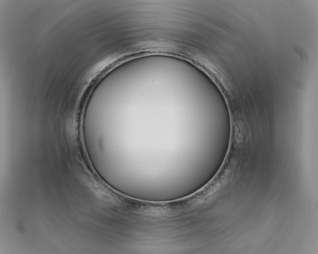 X0000110871074200906181157