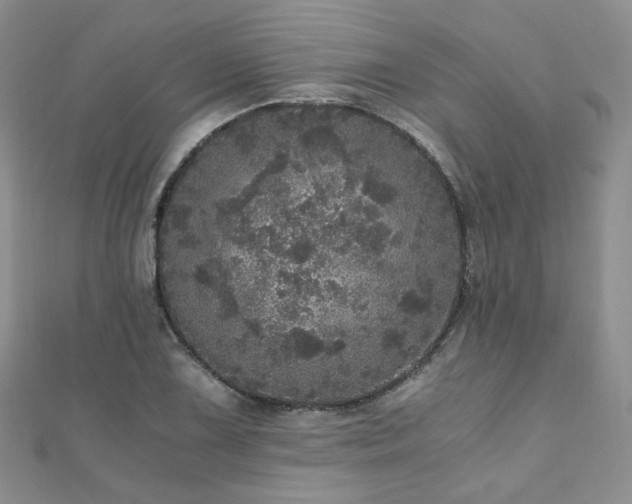 X0000110871075200906181157