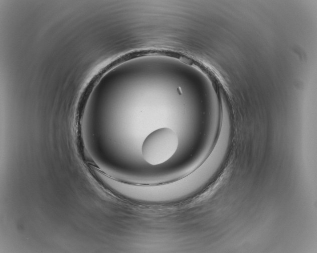 X0000110871077200906181157