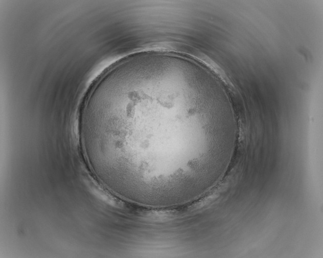 X0000110871078200906181157