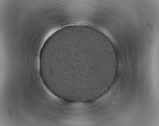 X0000110871079200906181157