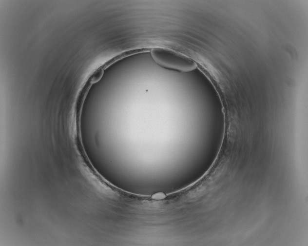 X0000110871080200906181157