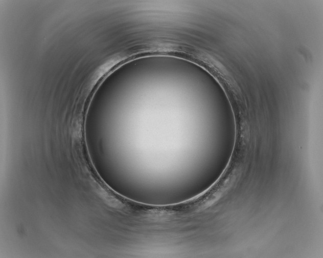 X0000110871081200906181157