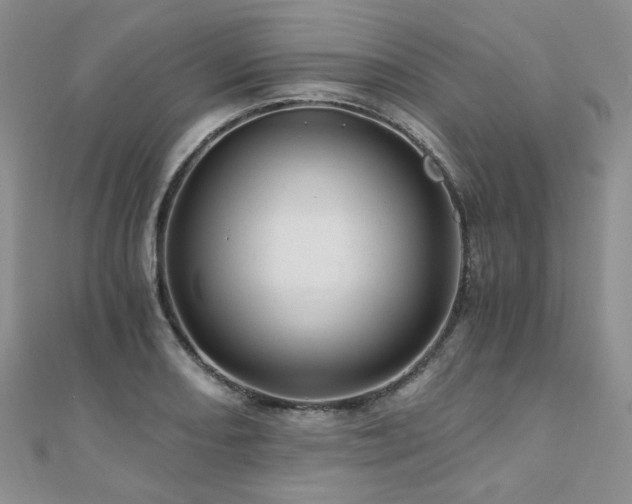 X0000110871082200906181157