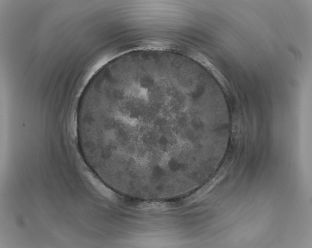 X0000110871083200906181157