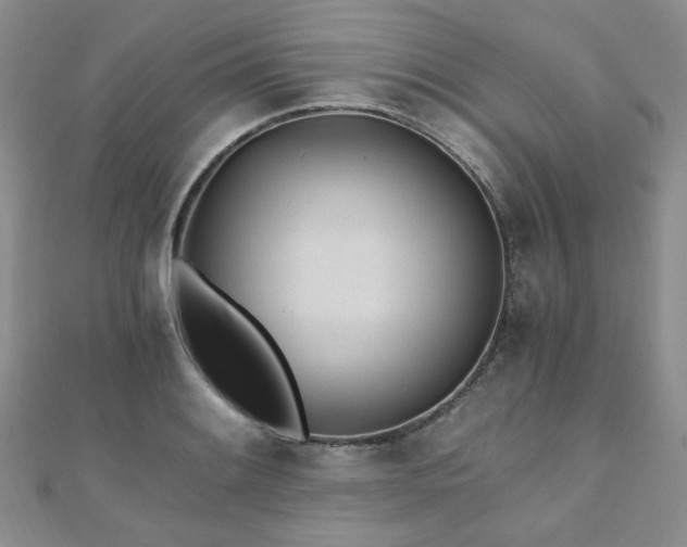 X0000110871084200906181157