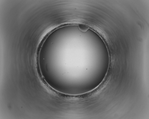 X0000110871085200906181157