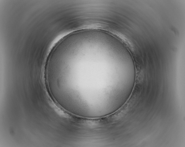 X0000110871086200906181157