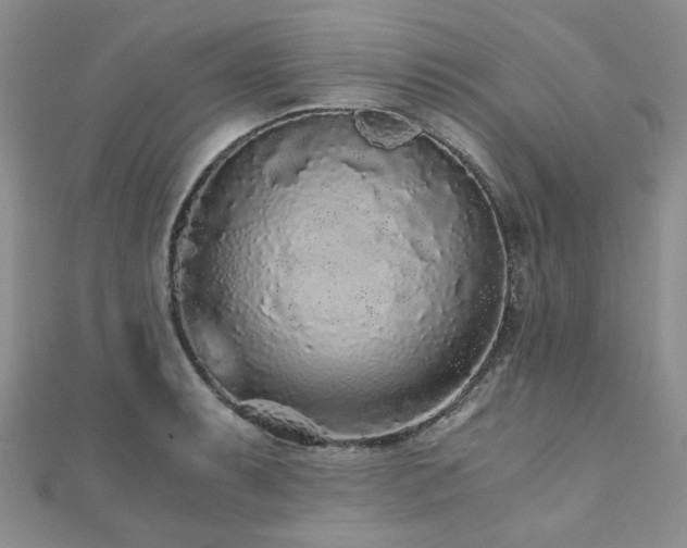 X0000110871087200906181157