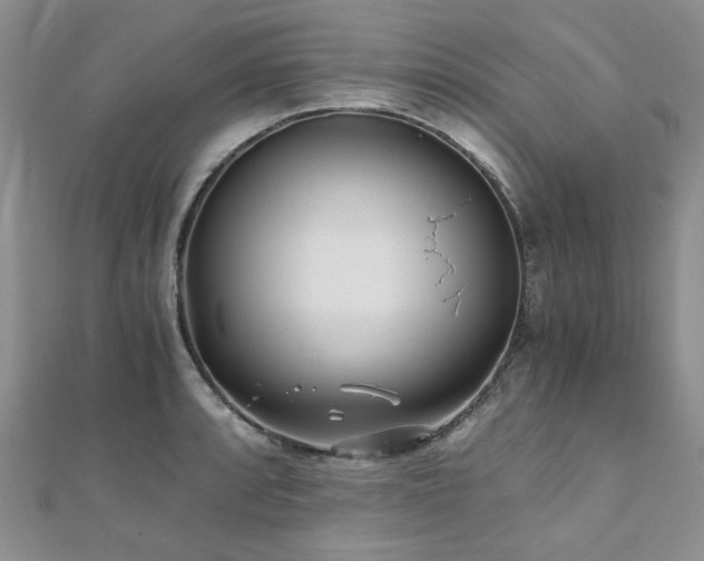 X0000110871088200906181157