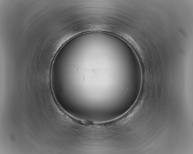 X0000110871089200906181157