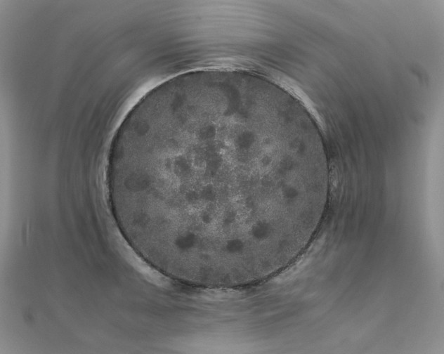 X0000110871091200906181157