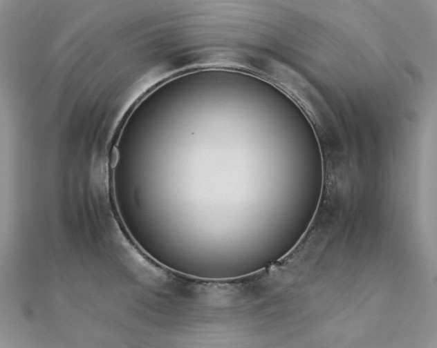 X0000110871092200906181157