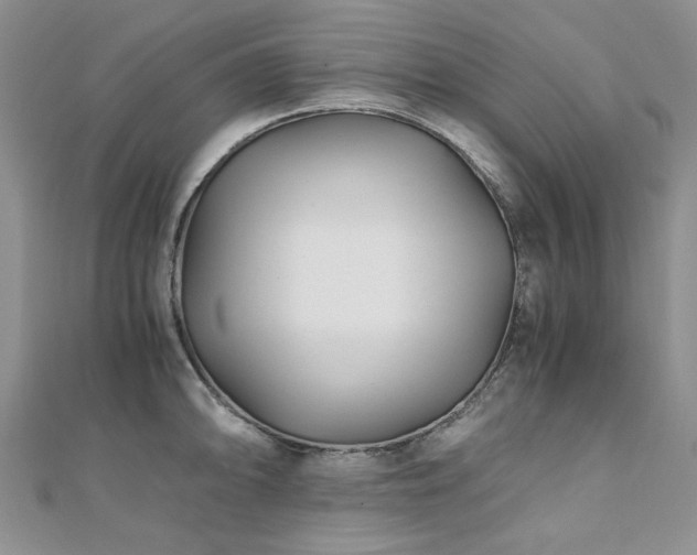 X0000110871094200906181157