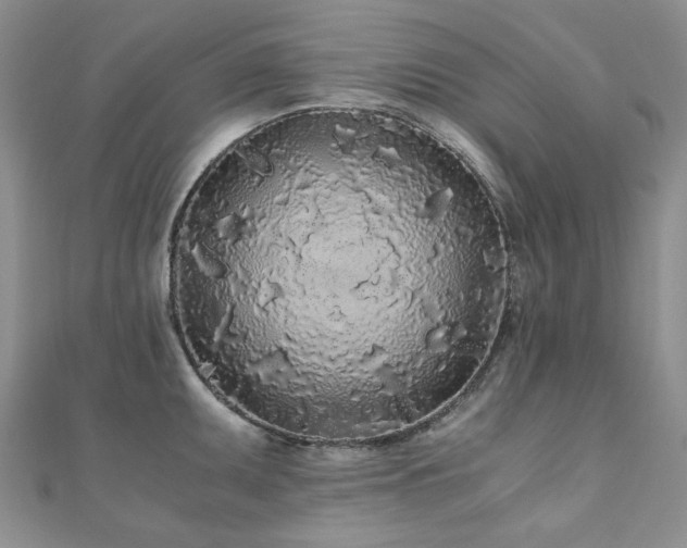 X0000110871095200906181157