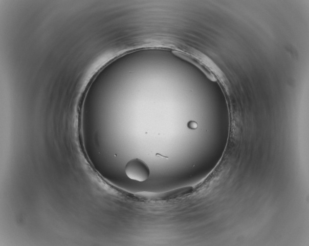 X0000110871096200906181157