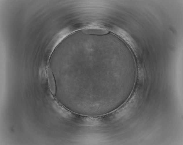 X0000110871097200906181157