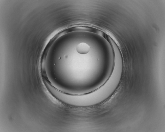 X0000110871098200906181157