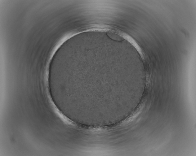 X0000110871099200906181157