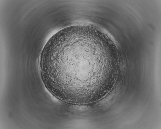 X0000110871103200906181157