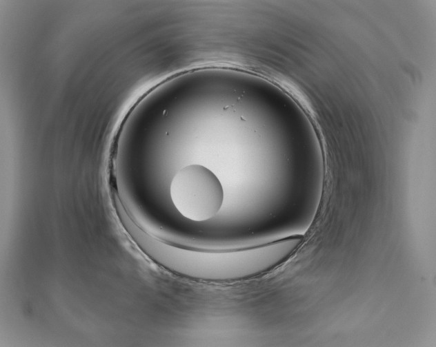 X0000110871104200906181157