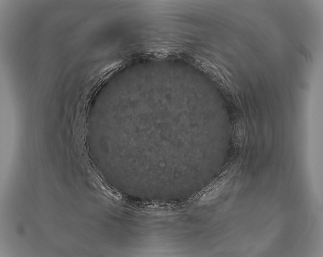 X0000110871105200906181156