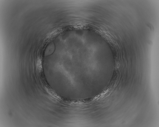 X0000110871106200906181156