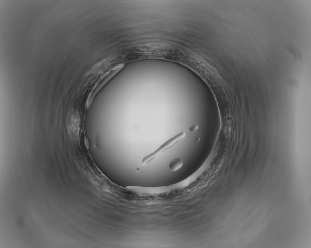 X0000110871108200906181156