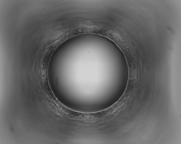 X0000110871109200906181156