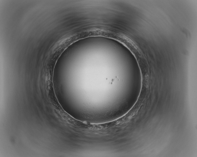 X0000110871111200906181156