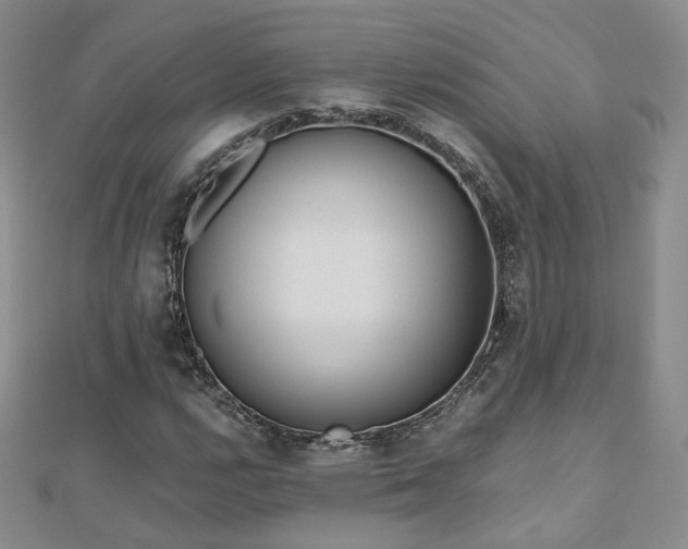 X0000110871112200906181156